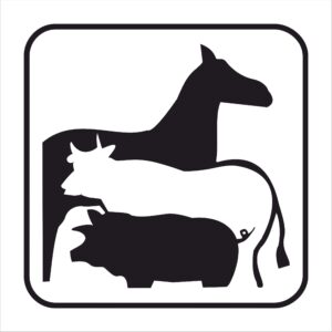 FIG. 092 - CAMPO BOARIO