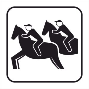 FIG. 114 - IPPODROMO