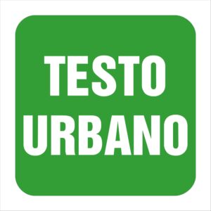 FIG. 248V - ITINERARI EUROPEI E AUTOSTRADE